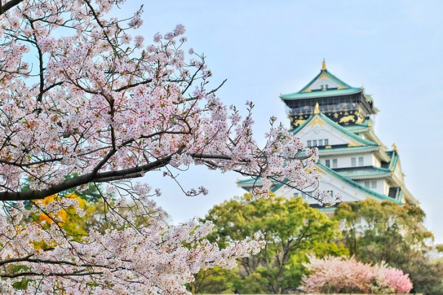 Destinațiile lunii aprilie: flori de cireș, locuri exotice și atracții culturale
